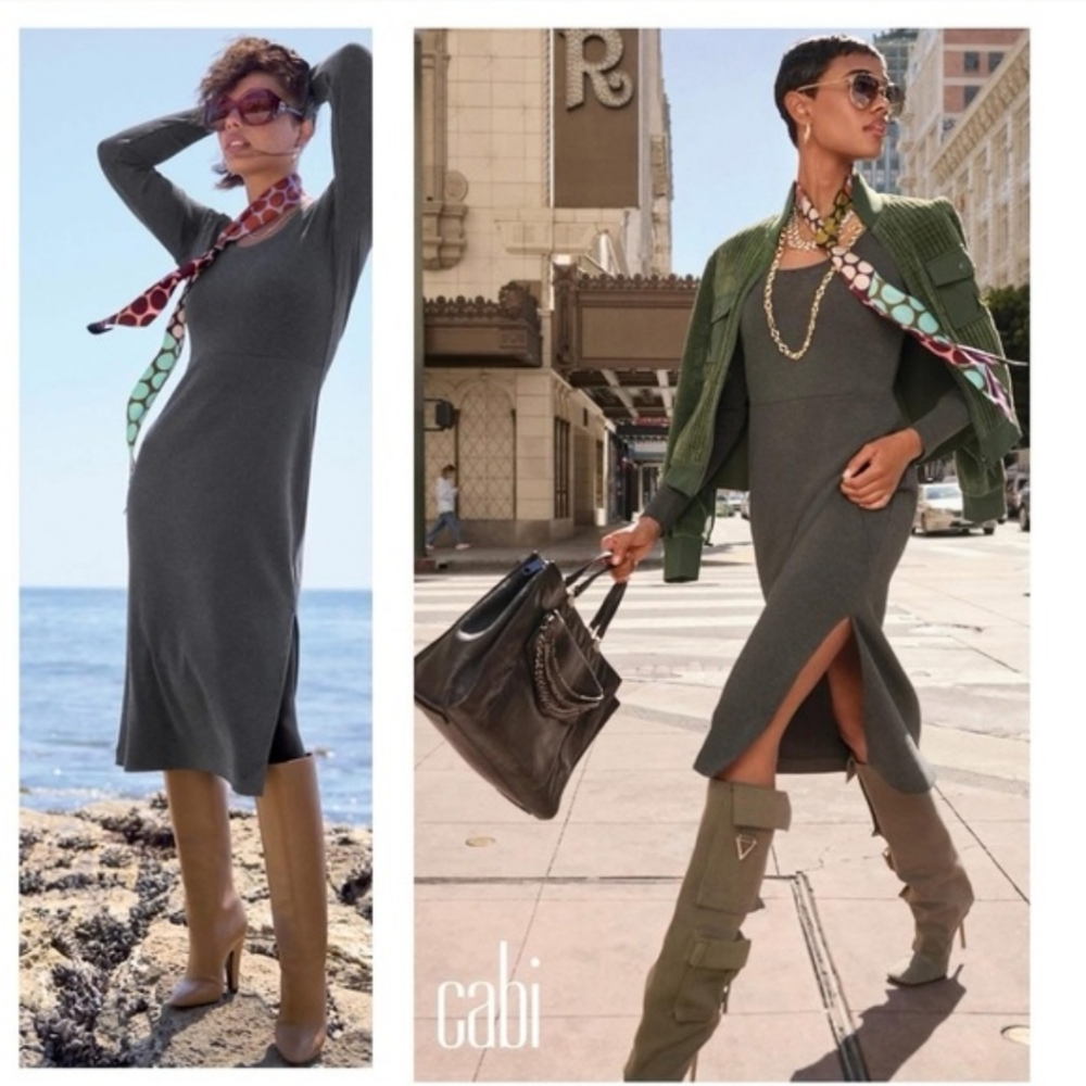 CAbi Any Day Dress Fall 24